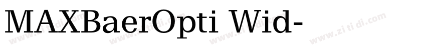 MAXBaerOpti Wid字体转换